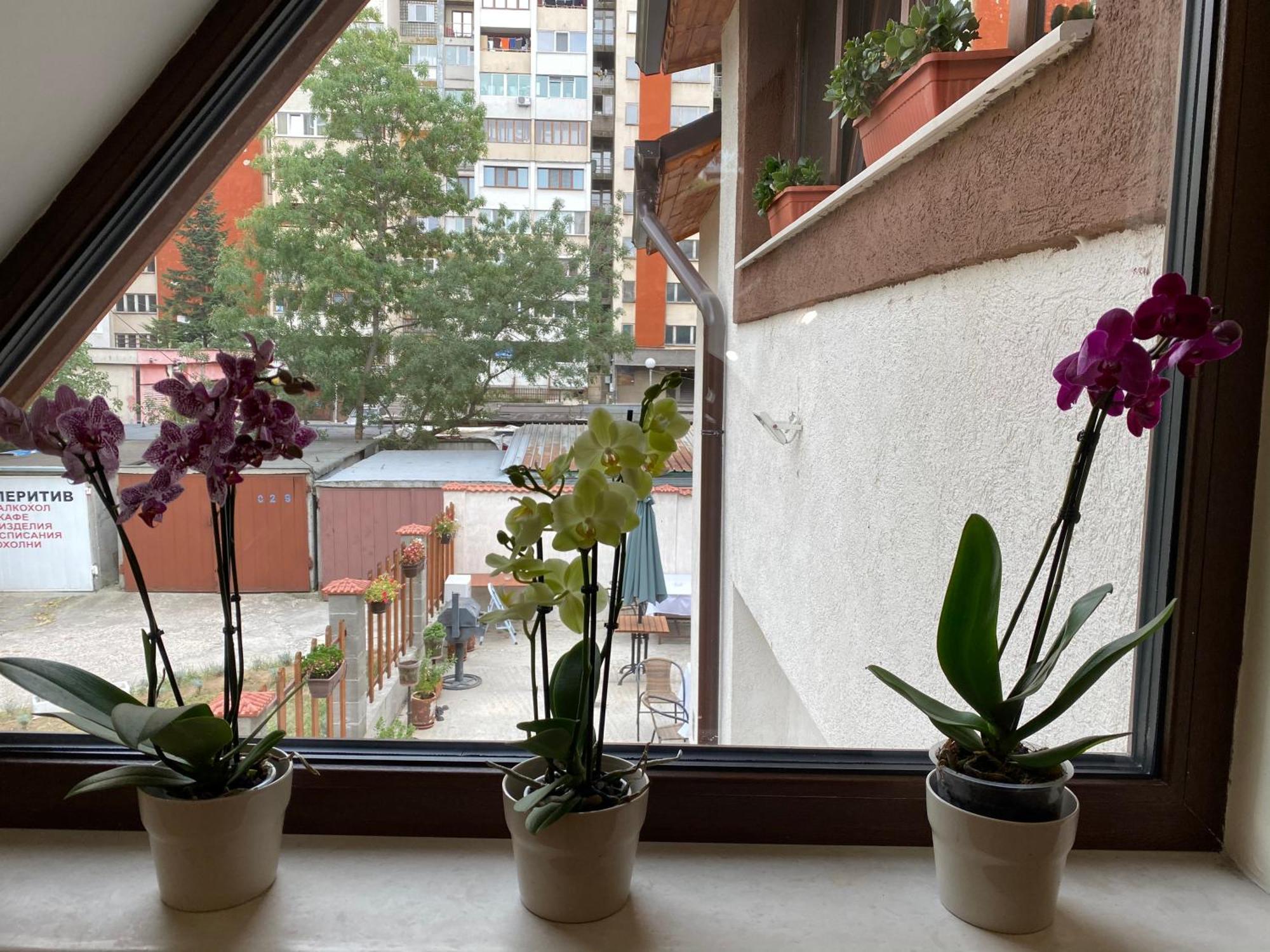 Отель Sofia Family House - Free Parking Экстерьер фото